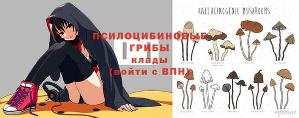 скорость Алзамай