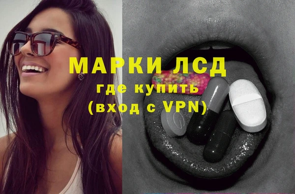 стаф Алексин