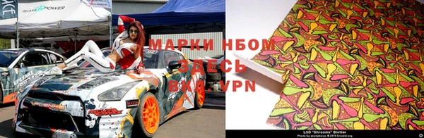 стаф Алексин