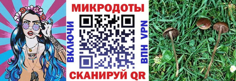 Псилоцибиновые грибы ЛСД купить цена Нижний Ломов